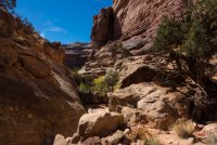 DSC04588.jpg DSC04588.jpg