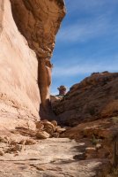 DSC04721.jpg DSC04721.jpg