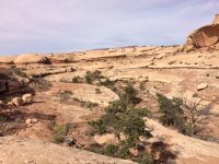 IMG_2734.JPG IMG_2734.JPG