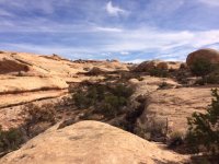 IMG_2735-1.JPG IMG_2735-1.JPG