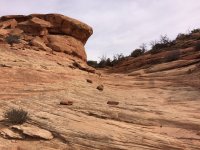 IMG_2740.JPG IMG_2740.JPG