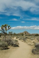 JTNP-4.jpg JTNP-4.jpg