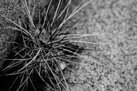 JTNP-5.jpg JTNP-5.jpg