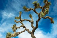 JTNP-8.jpg JTNP-8.jpg