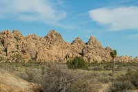 JTNP-16.jpg JTNP-16.jpg