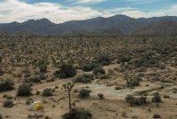 JTNP-21.jpg JTNP-21.jpg