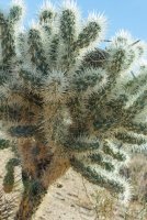 JTNP-25.jpg JTNP-25.jpg