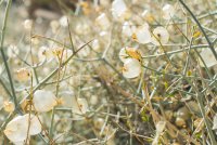 JTNP-28.jpg JTNP-28.jpg