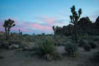 JTNP-37.jpg JTNP-37.jpg