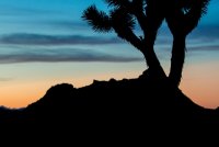 JTNP-39.jpg JTNP-39.jpg