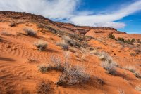 Neon and Escalante 11-20180357-proc.jpg