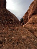 image.jpeg image.jpeg