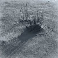 Traverse Ridge Sunrise 12-180210-bw-s.jpg