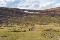 highline-2018-2400-5.jpg highline-2018-2400-5.jpg