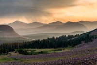 highline-2018-2400-10.jpg highline-2018-2400-10.jpg