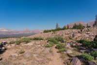 highline-2018-2400-36.jpg highline-2018-2400-36.jpg