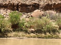 sanjuan-2018-ip-2400-4.jpg sanjuan-2018-ip-2400-4.jpg