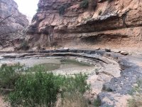 IMG_0387.jpeg IMG_0387.jpeg