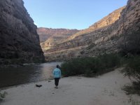 IMG_0401.jpeg IMG_0401.jpeg