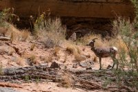 sanjuan-2018-2400-2.jpg sanjuan-2018-2400-2.jpg