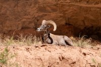 sanjuan-2018-2400-3.jpg sanjuan-2018-2400-3.jpg