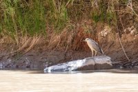 sanjuan-2018-2400-6.jpg sanjuan-2018-2400-6.jpg