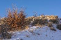 Traverse Ridge Sunrise 12-180226.jpg