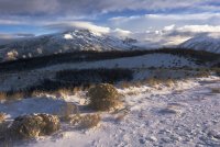 Traverse Ridge Sunrise 12-180245.jpg