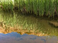 sanjuan-2018-ip-2400-26.jpg sanjuan-2018-ip-2400-26.jpg