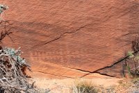 escalante-april-2018-2400-22.jpg