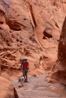 escalante-april-2018-2400-38.jpg