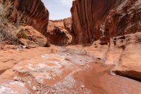 escalante-april-2018-2400-46.jpg