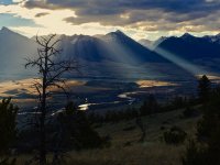 4CE02983-50A1-4E56-B651-1FA2D786B00D.jpeg 4CE02983-50A1-4E56-B651-1FA2D786B00D.jpeg