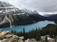 72135AA7-CF2D-43A7-A687-E4C8C5773B68.jpeg 72135AA7-CF2D-43A7-A687-E4C8C5773B68.jpeg