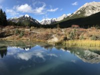 2AE56D8F-C531-4403-8A60-FEA07293333E.jpeg 2AE56D8F-C531-4403-8A60-FEA07293333E.jpeg