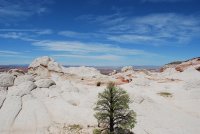 DSC_0860.JPG DSC_0860.JPG