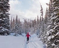 P1040795 copy 2.jpg P1040795 copy 2.jpg