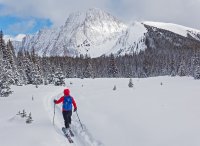 P1040797 copy 3.jpg P1040797 copy 3.jpg