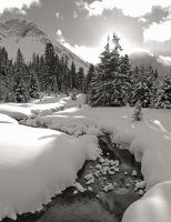 P1040812 copy 2.jpg P1040812 copy 2.jpg