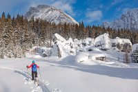 P1040814 copy 3.jpg P1040814 copy 3.jpg