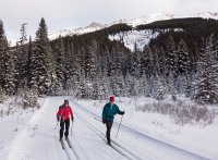 P1040827 copy_edited-1.jpg P1040827 copy_edited-1.jpg