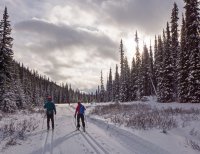 P1040830 copy 3.jpg P1040830 copy 3.jpg