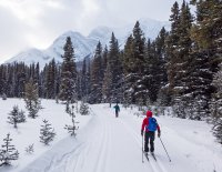 P1040835 copy 3.jpg P1040835 copy 3.jpg