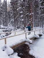 P1040841 copy 3.jpg P1040841 copy 3.jpg