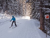 P1040898 copy 3.jpg P1040898 copy 3.jpg