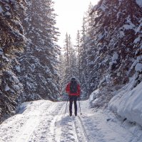 P1040900 copy 3.jpg P1040900 copy 3.jpg