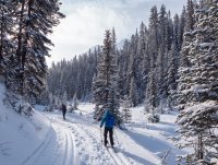 P1040908 copy 3.jpg P1040908 copy 3.jpg