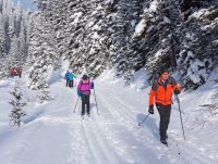 P1040910 copy 3.jpg P1040910 copy 3.jpg