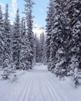 P1040918 copy 3.jpg P1040918 copy 3.jpg