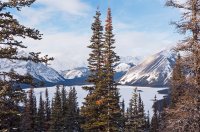 P1040927 copy 3.jpg P1040927 copy 3.jpg